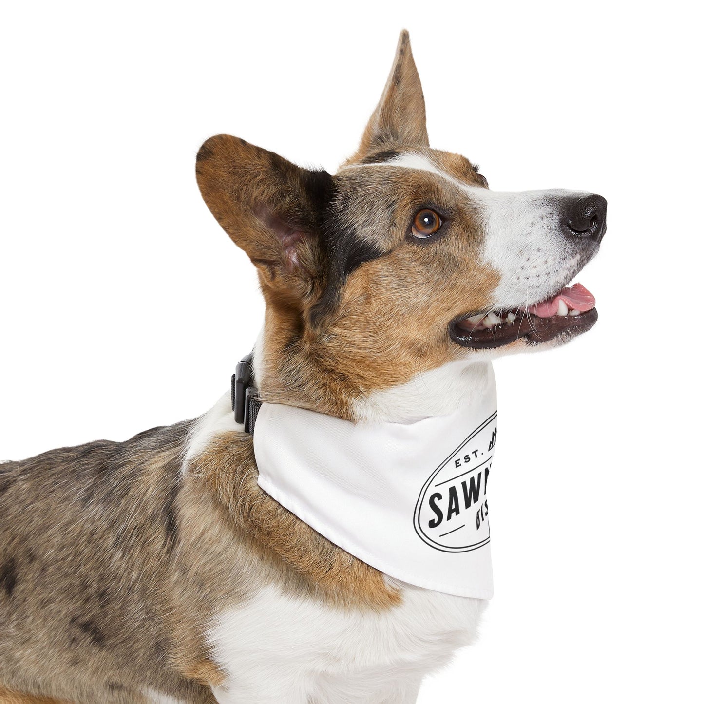 SMBC Pet Bandana Collar