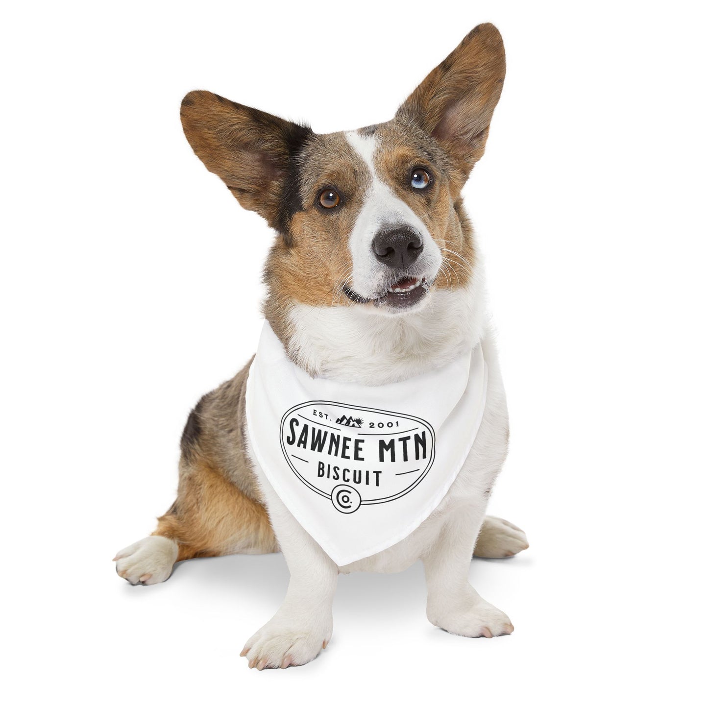 SMBC Pet Bandana Collar