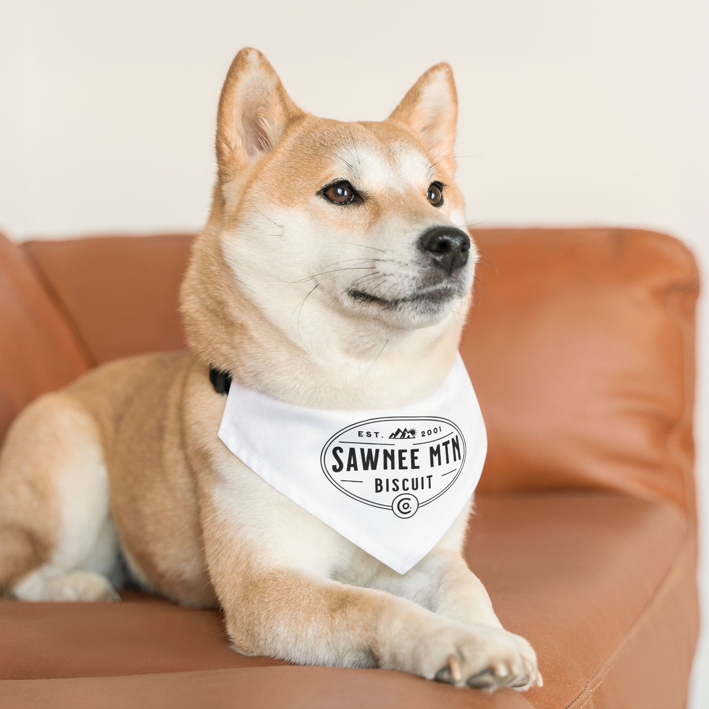 SMBC Pet Bandana Collar